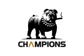 Website sponsor logo sizes - 4